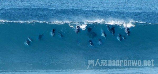 小矢是什么动漫人物-专业的58问答交流平台